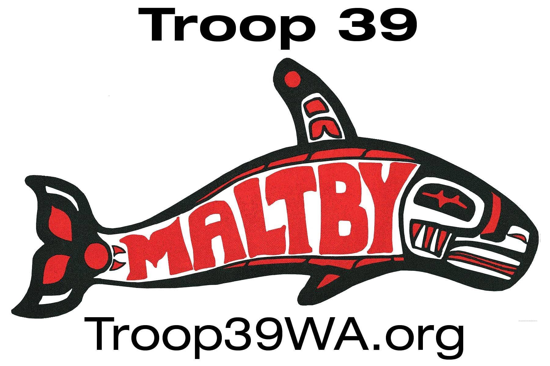 Troop 39 image